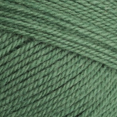 Yarn - Stylecraft Special Aran with Wool 400g in Succulent Green 3980