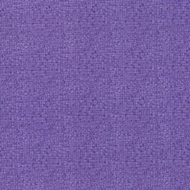 Quilting Fabric - Thatched in Aster Purple by Robin Pickens for Moda 48626 33