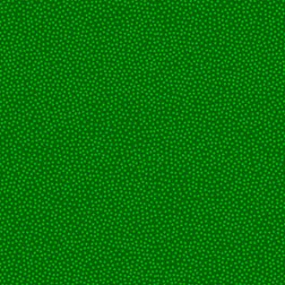 Quilting Fabric - Stipple in Green from Mixmasters Mashup by Patrick Lose for Northcott 10004-73