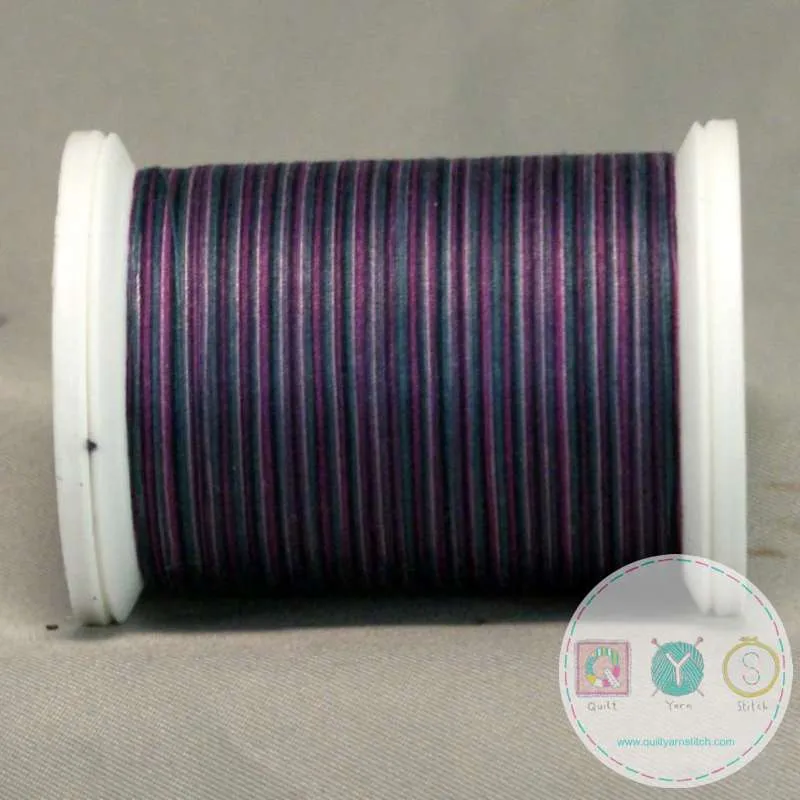 YLI Quilting Thread - Vineyard 15V Variegated 