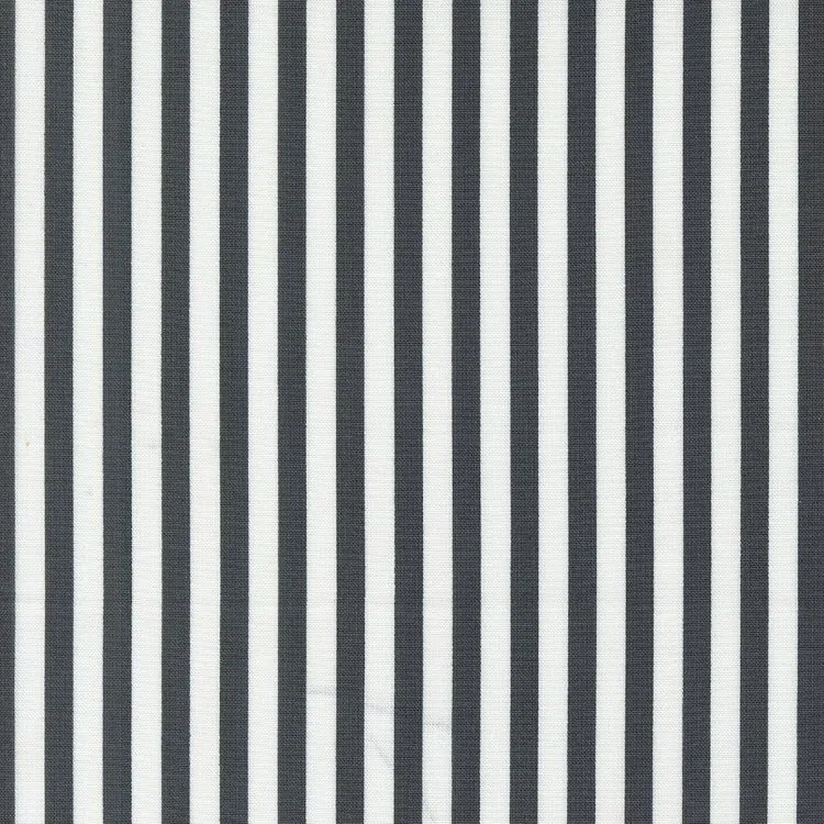 Quilting Fabric - Black and White Stripe from Coriander Colours by Corey Yoder for Moda 29203 31