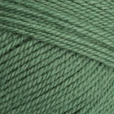 Yarn - Stylecraft Special Aran with Wool 400g in Succulent Green 3980