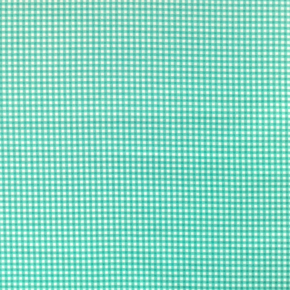 Quilting Fabric  - Aquamarine Checks from Gingham for Makower 920T