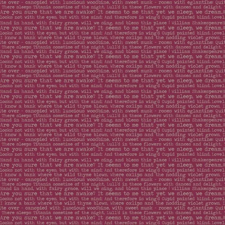 Quilting Fabric - Text from Whimsical Romance by Keera Job for Riley Blake Designs C11085R-Raspberry