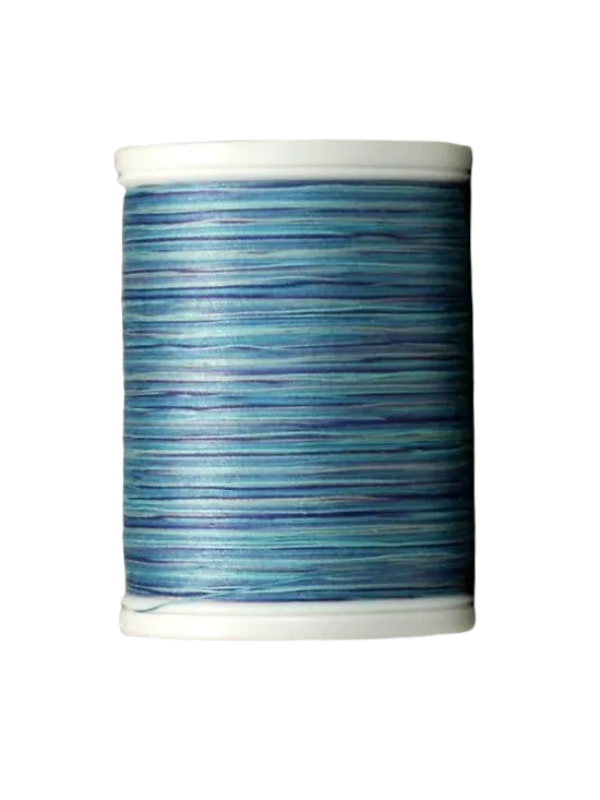 YLI Quilting Thread in Danube Blues Variegated V80 