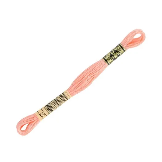 DMC Embroidery Thread - Pink Colour 20