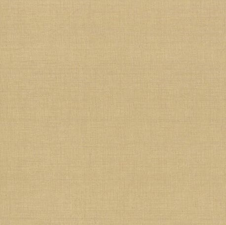 Quilting Fabric - Textured Blender from Favorites by French General for Moda 13529