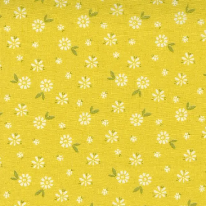 Quilting Fabric - Daisies on Citrine Yellow from Seashore Drive by Sherri & Chelsi for Moda 37622 12