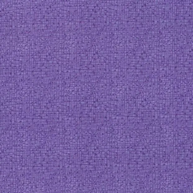 Quilting Fabric - Thatched in Aster Purple by Robin Pickens for Moda 48626 33