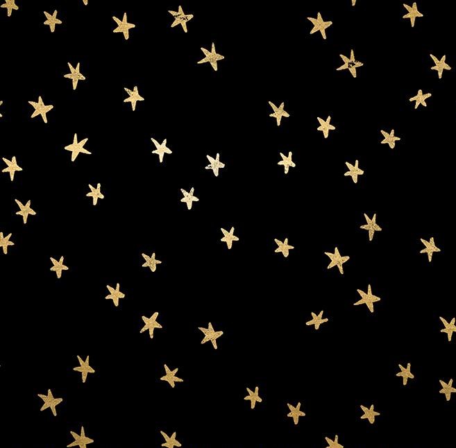 Quilting Fabric - Gold Stars on Black from Starry by Alexia Abegg for Ruby Star Society RS4006 27M