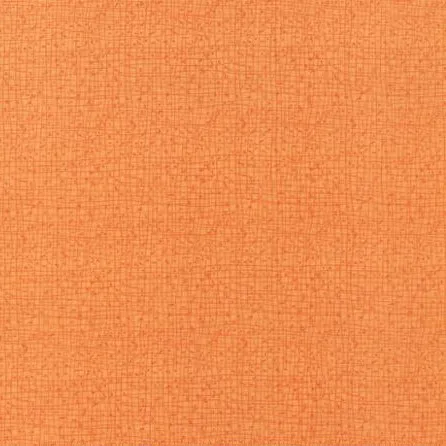 Quilting Fabric - Thatched in Citrus Orange by Robin Pickens for Moda 48626 123