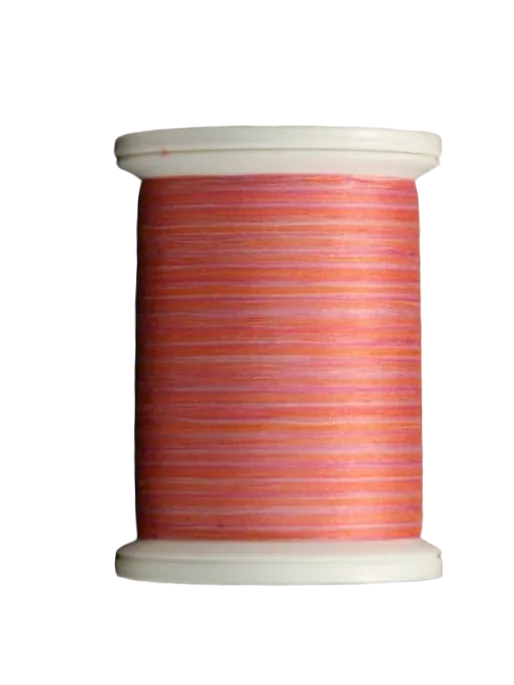 YLI Quilting Thread in Paris Boutique Variegated V74 