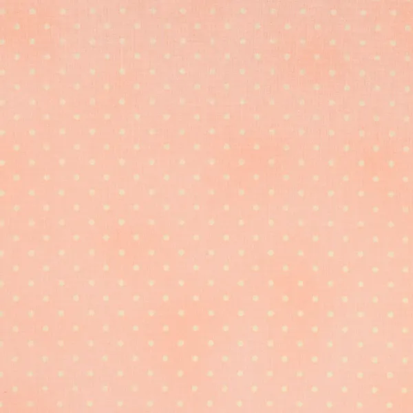 Quilting Fabric with Spots on Pink from House Essential by Robyn Pandolph for RJR Fabrics