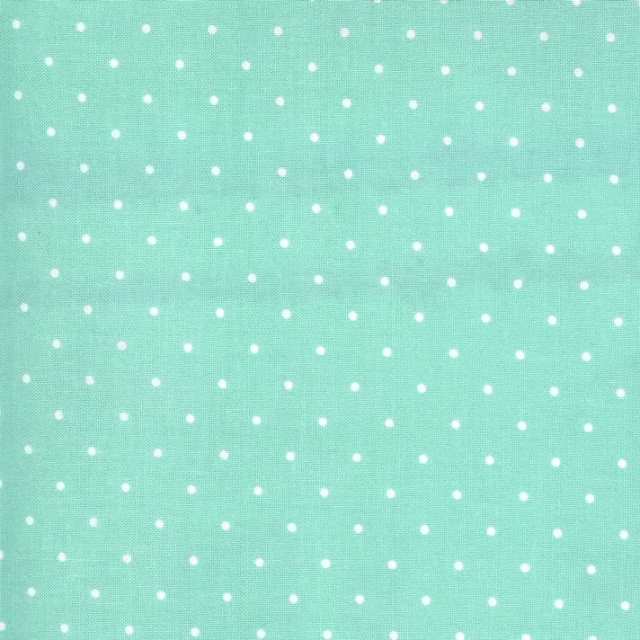 Quilting Fabric with Aqua Polka Dot from Sunday Stroll by Bonnie & Camille for Moda