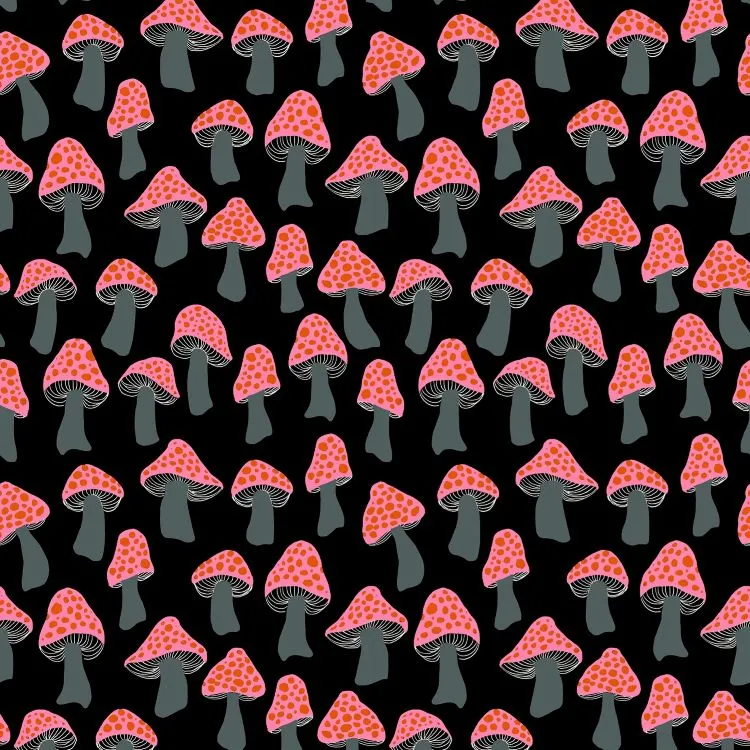 Quilting Fabric - Mushrooms on Black from Firefly by Sarah Watts for Ruby Star Society RS2072 15